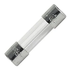 Schurter - 0034.3111 - Glass Fuse